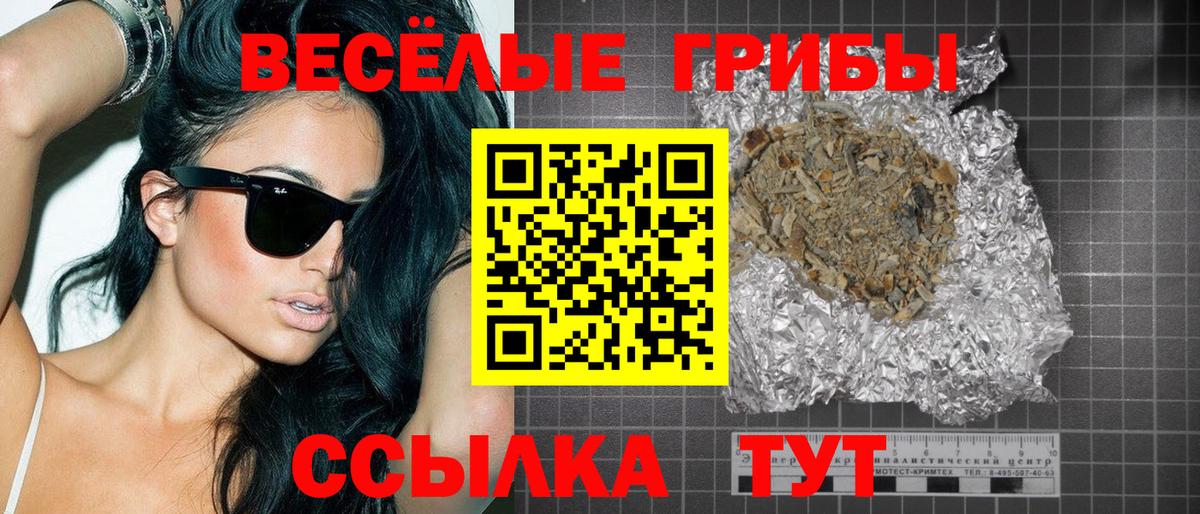 Чайковский  Псилоцибиновые грибы Psilocybe  Вход с VPN 